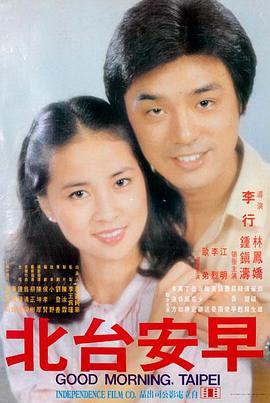 日本女优电影《白夜行》